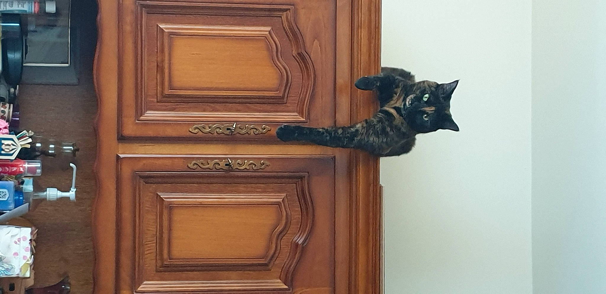Lexy participe au concours pour gagner de l'argent avec cette photo : brown, carnivore, cat, creative_arts, door, door_handle, felidae, fixture, handle, hardwood, home_door, household_hardware, molding, pattern, small_to_medium_sized_cats, tail, varnish, whiskers, wood, wood_stain