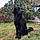Onyx