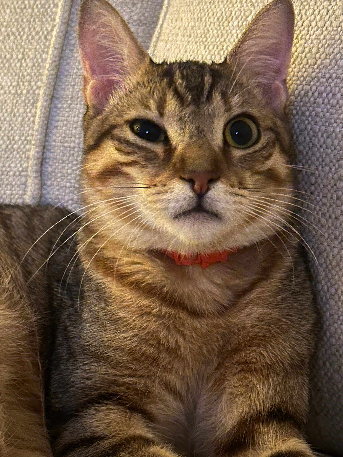 Tom