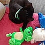 black_cat, cat, pet, plush_toy, green_toy, blue_toy, pink_blanket, couch, collar, sleeping, indoors, cozy, feline, soft_toys, resting, fur, animal, cute, relaxing, domestic
