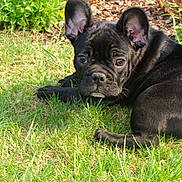 Francky participe au concours pour gagner de l'argent avec cette photo :