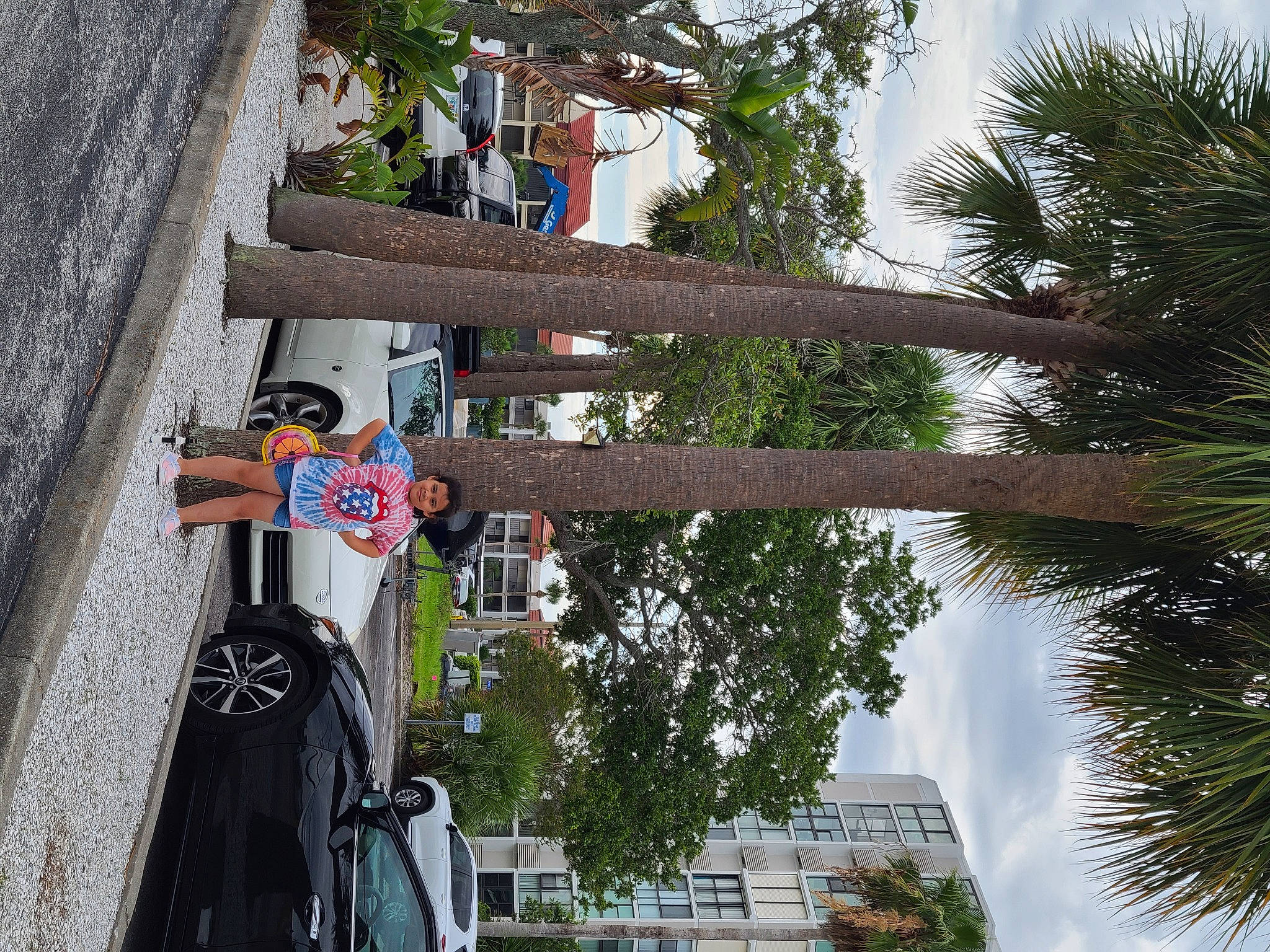 Alena is registered to the contest to win money with this photo: arecales, attalea_speciosa, automotive_exterior, building, car, cloud, desert_palm, joy, landscape, palm_tree, person, plant, pole, road, sky, terrestrial_plant, tire, tree, trunk, vehicle