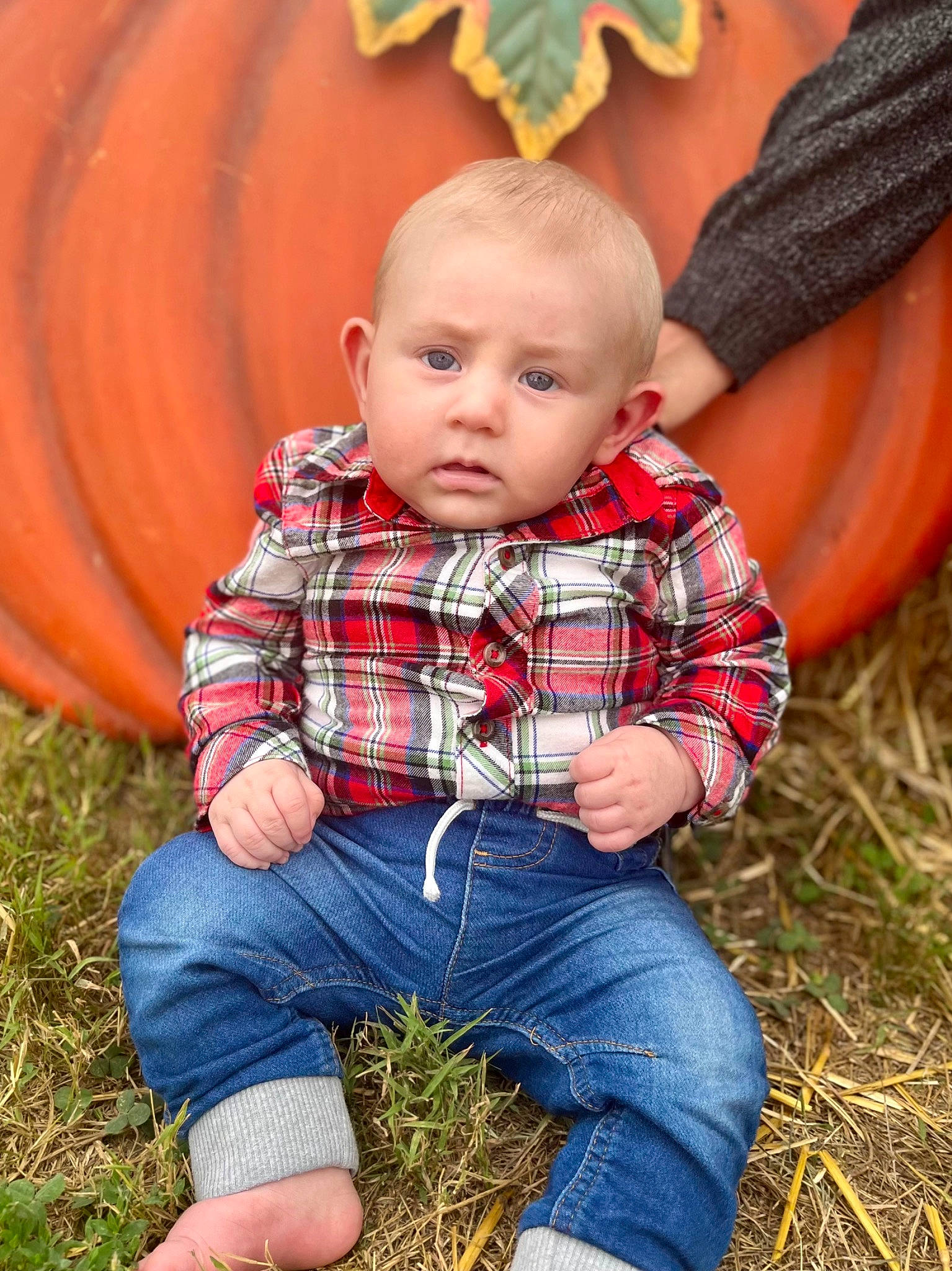 Dominick joined the competition — help win amazing prizes! baby_toddler_clothing, grass, hair, happy, head, jeans, leaf, orange, people, people_in_nature, person, plaid, plant, red, skin, sleeve, tartan, textile, toddler, tree