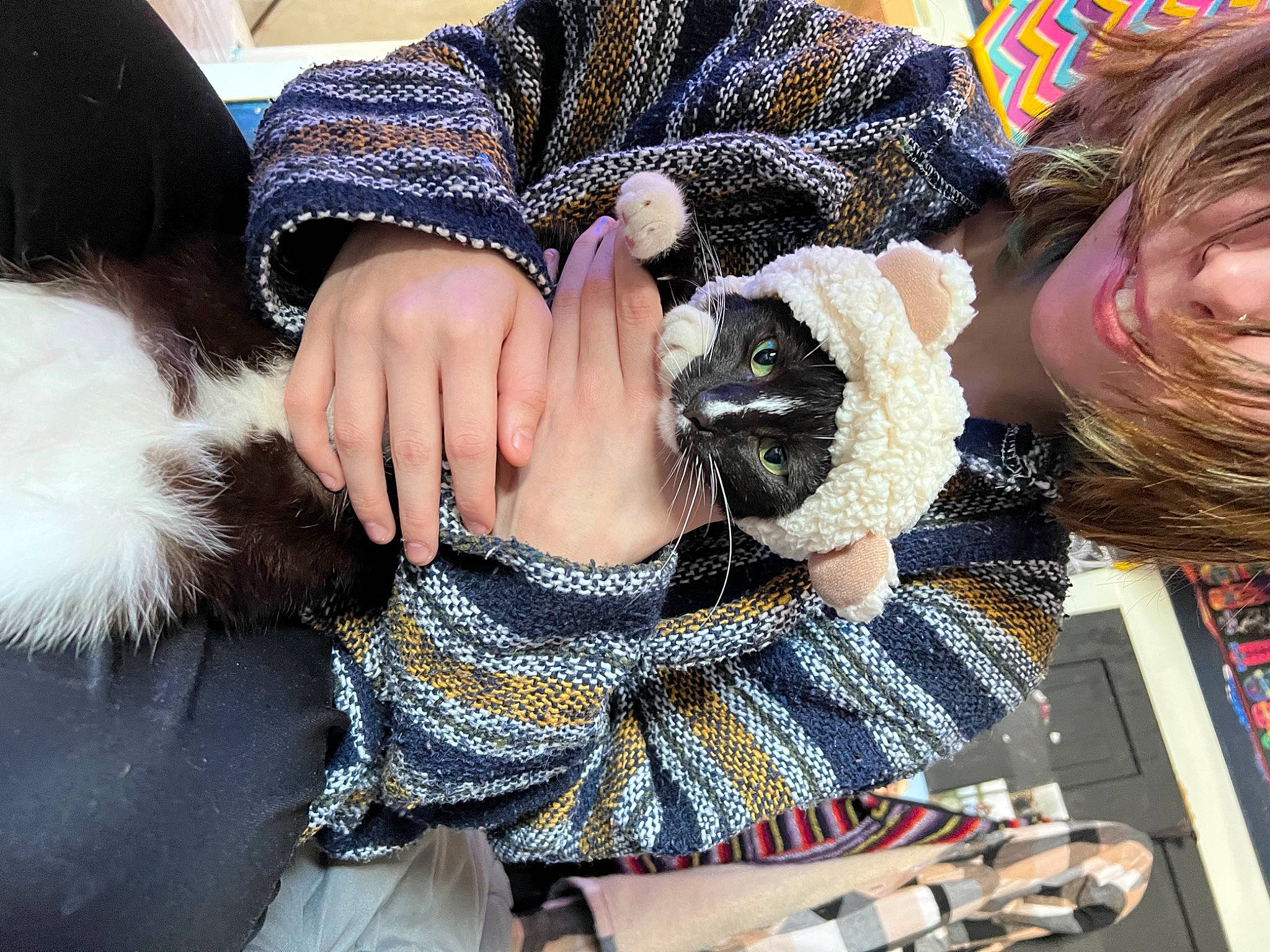 Leo joined the competition — help win amazing prizes! beauty, black_hair, bracelet, companion_dog, dog_breed, eyewear, fashion_accessory, feather, felidae, fur, glove, hairstyle, human_leg, nail, pattern, small_to_medium_sized_cats, sunglasses, textile, wool, wrist