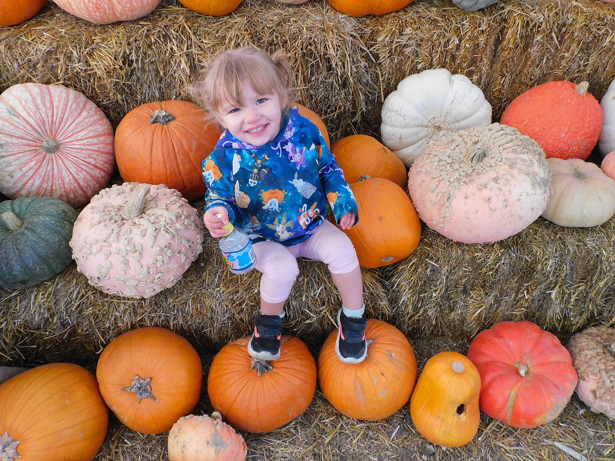Kora is registered to the contest to win money with this photo: calabaza, cucurbita, eye, facial_expression, gourd, head, human_body, joy, local_food, natural_foods, nature, orange, organ, people, person, photograph, plant, pumpkin, smile, squash