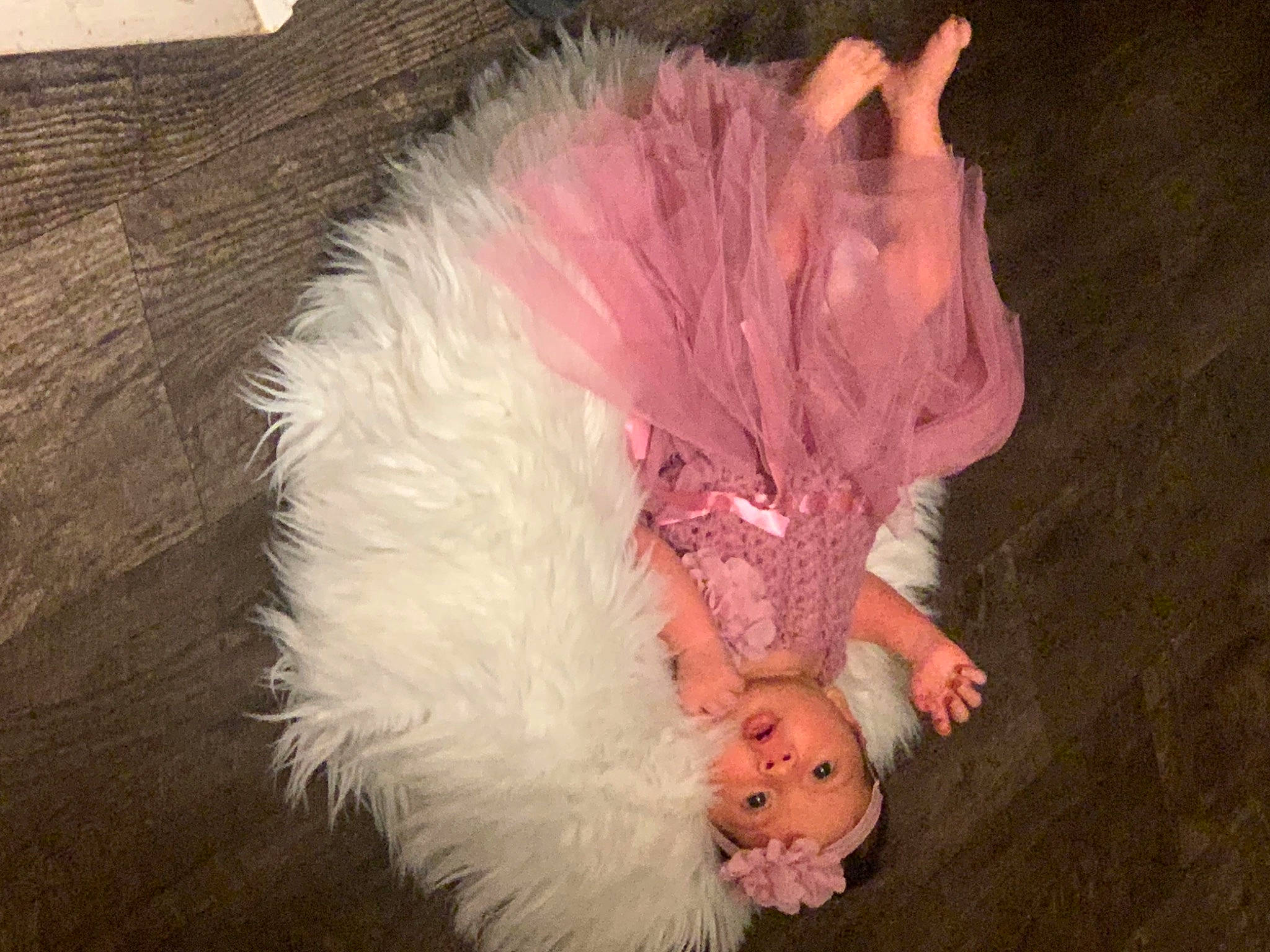 Olivia is registered to the contest to win money with this photo: comfort, companion_dog, dog_breed, dress, fashion_accessory, fawn, feather, flesh, flooring, foot, fun, fur, hardwood, human_leg, natural_material, person, sporting_group, sunglasses, tail, toy_dog