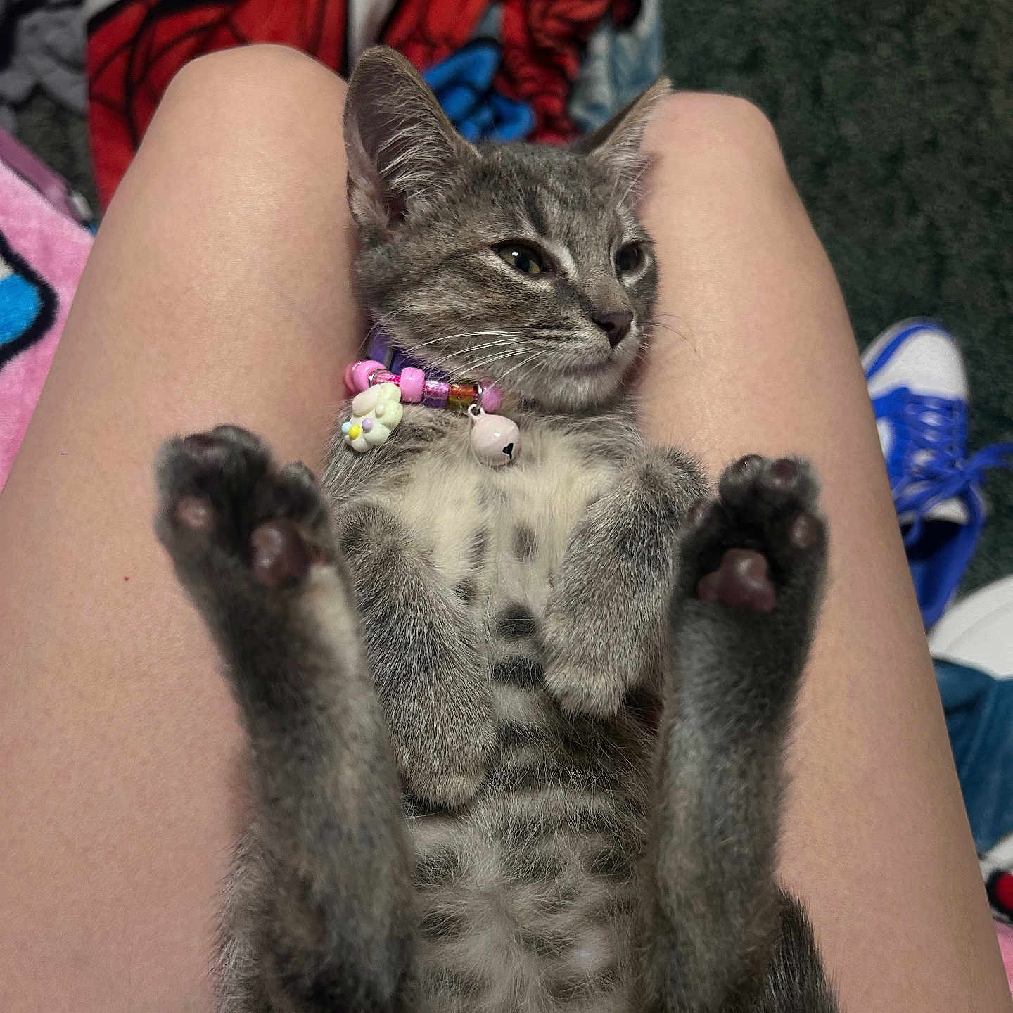 Penelope