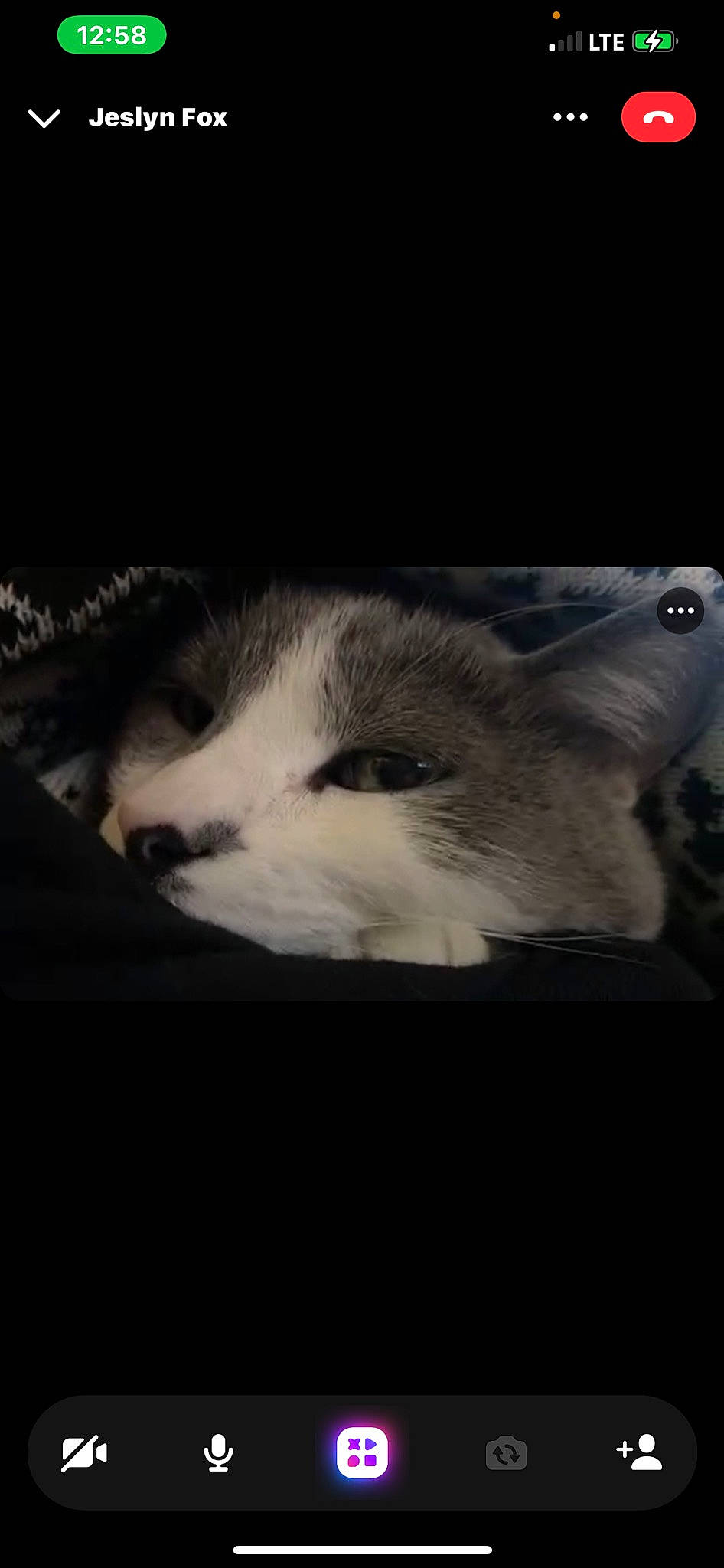 Barbie joined the competition — help win amazing prizes! canidae, carnivore, cat, cloud, darkness, domestic_short_haired_cat, felidae, fur, meteorological_phenomenon, monochrome, monochrome_photography, paw, photo_caption, sky, small_to_medium_sized_cats, snout, tail, whiskers, window, wood