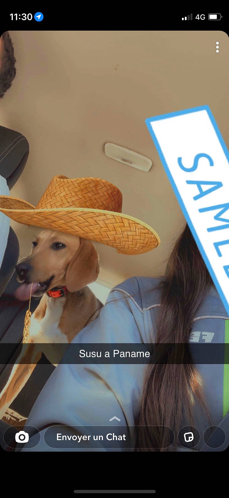 Sultane a rejoint le concours — aidez-le/la à gagner de superbes lots ! blond, carnivore, companion_dog, cowboy_hat, dog, eyelash, eyewear, fashion_accessory, fashion_design, fawn, fedora, font, happy, hat, sombrero, street_fashion, sun_hat, sunglasses, toy, working_animal