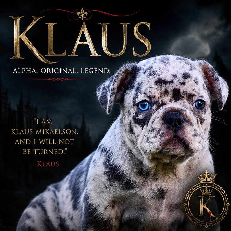 Klaus
