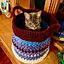 animal, cat, cozy, crocheted_basket, curious, cute, feline, framed_photo, furniture, gray_cat, handmade, home_decor, indoor, knitted, mirror, pet, reflection, tabletop, wooden_dresser, yarn