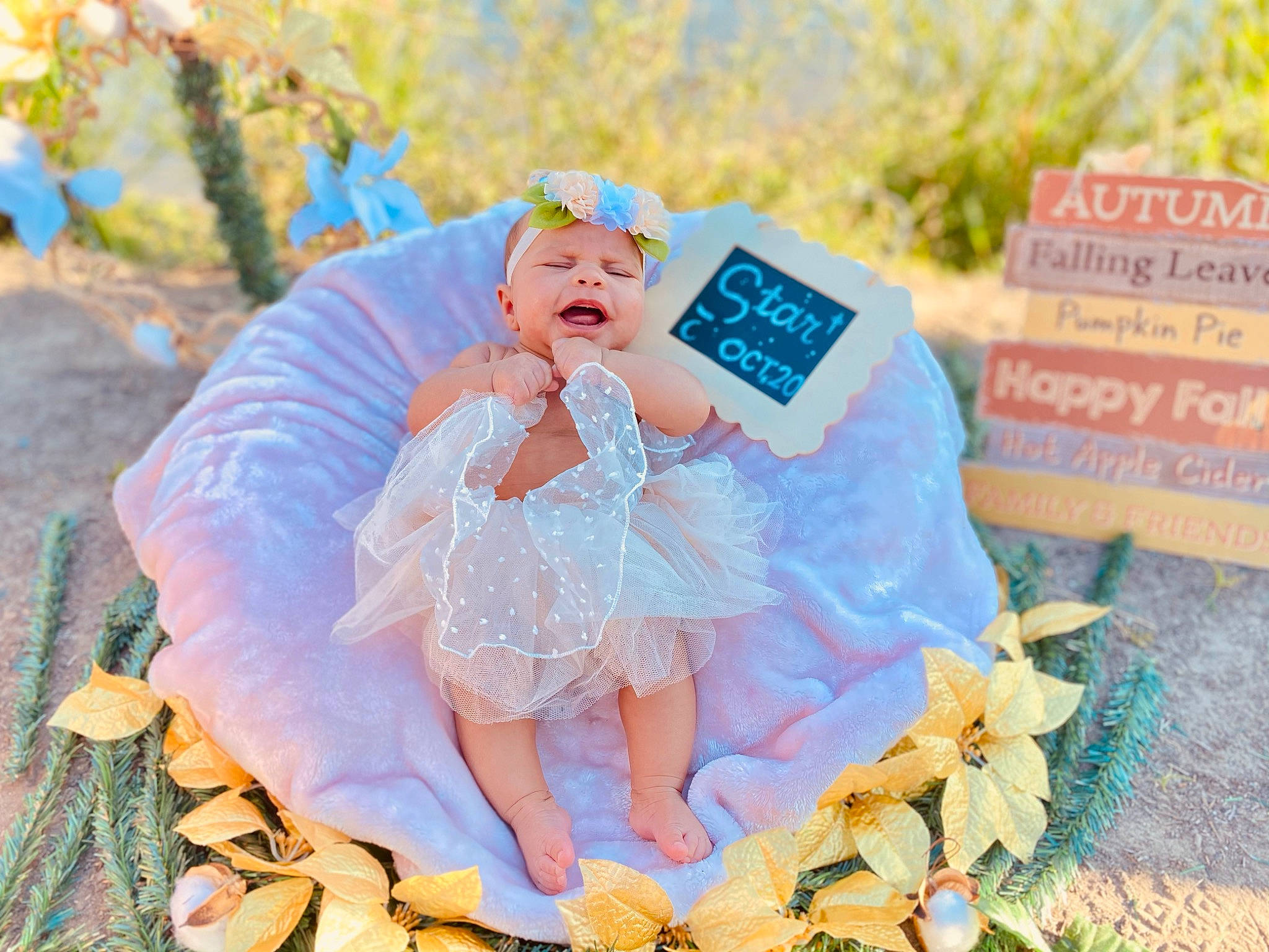 Star joined the competition — help win amazing prizes! baby, baby_toddler_clothing, communication_device, costume, costume_accessory, cut_flowers, embellishment, fictional_character, gadget, lace, mythical_creature, peach, person, portable_communications_device, reading, ruffle