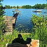 Meiji participe au concours pour gagner de l'argent avec cette photo : animal, bench, calm, daytime, dock, dog, grass, greenery, lake, leash, nature, outdoor, reflection, scenic, shadow, sky, sunny, trees, water, wood