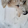 Meiji a rejoint le concours — aidez-le/la à gagner de superbes lots ! adorable, animal, canine, closeup, cold, dog, fluffy, footprint, frozen, fur, muzzle, nature, outdoor, paw, pet, snow, snowflakes, walk, white, winter