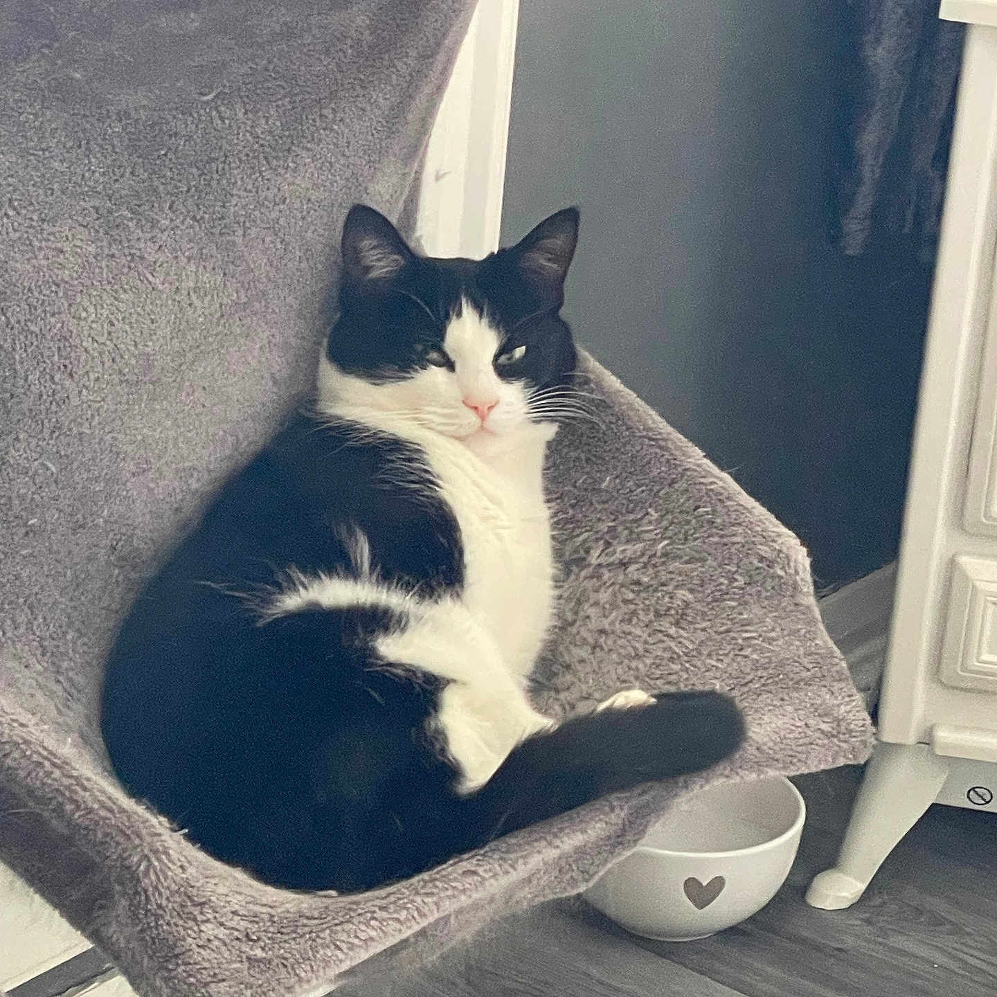 Bella