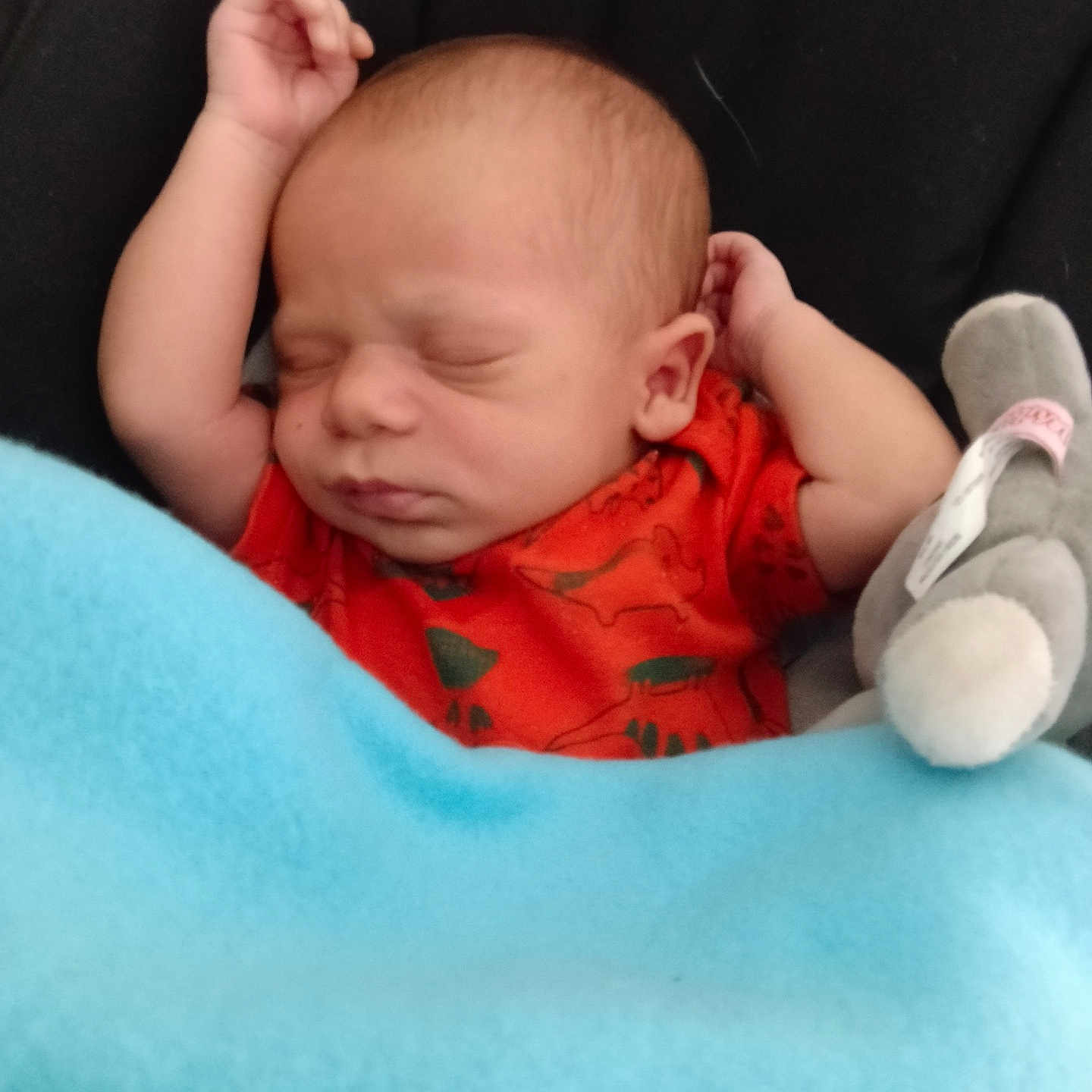 Quincy joined the competition — help win amazing prizes! baby, blanket, child, cushion, cute, dinosaur_print, human, indoors, infant, newborn, orange_clothing, peaceful, plush_toy, portrait, relaxed, resting, sleeping, small, soft, toddler