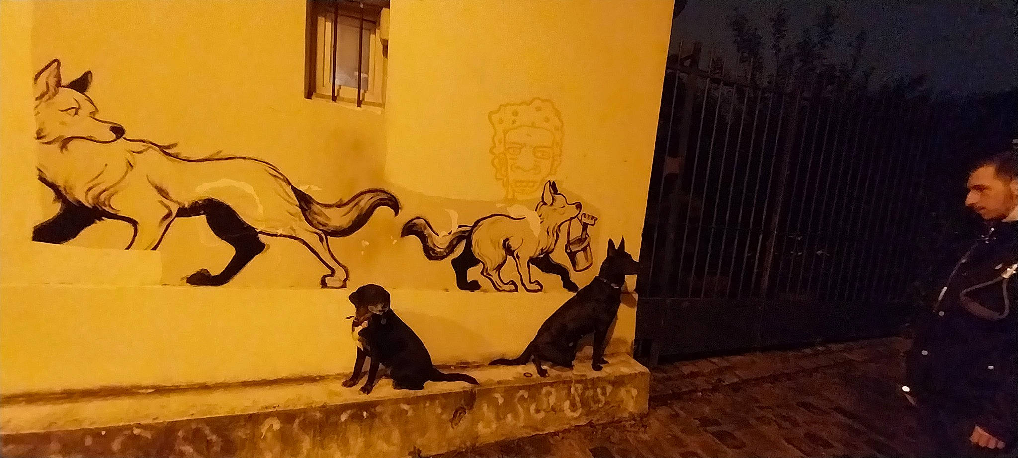 ébène a rejoint le concours — aidez-le/la à gagner de superbes lots ! art, big_cats, carnivore, cat, drawing, facade, fawn, felidae, illustration, mammal, metal, mural, shadow, small_to_medium_sized_cats, tail, tints_and_shades, visual_arts, wildlife, window, wood