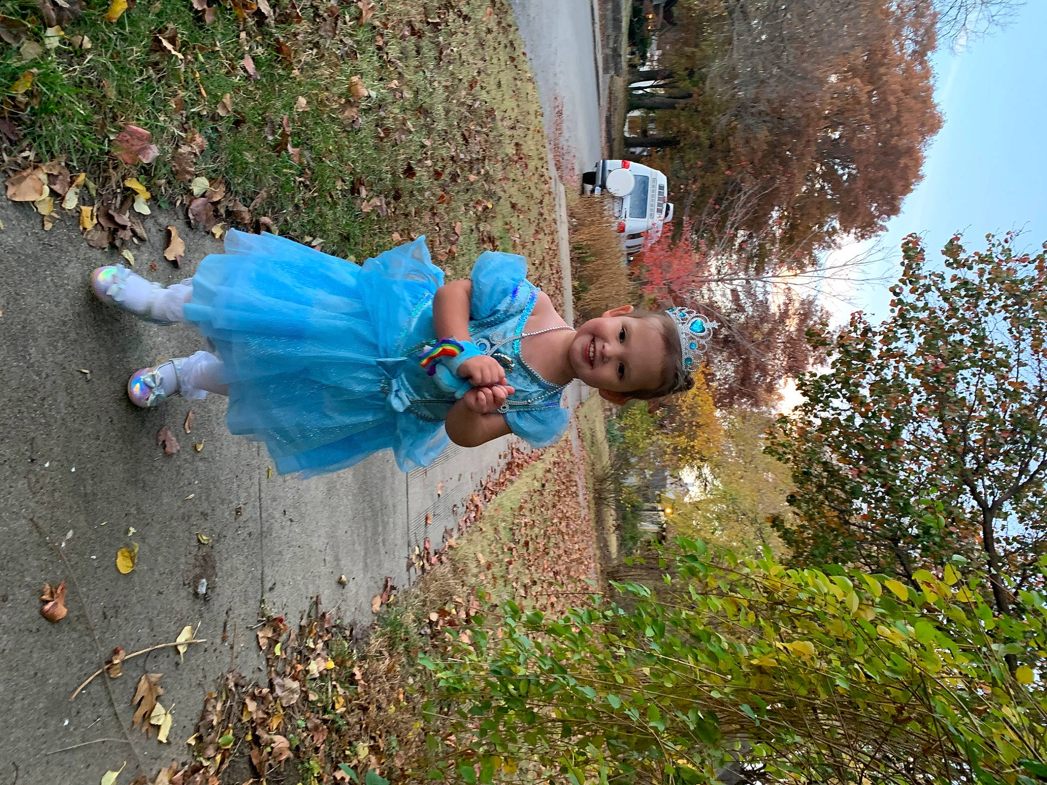 Ariya is registered to the contest to win money with this photo: asphalt, botany, child, concrete, electric_blue, fun, garden, grass, joy, leisure, people_in_nature, person, plant, road_surface, shadow, shrub, sidewalk, sky, soil, toddler