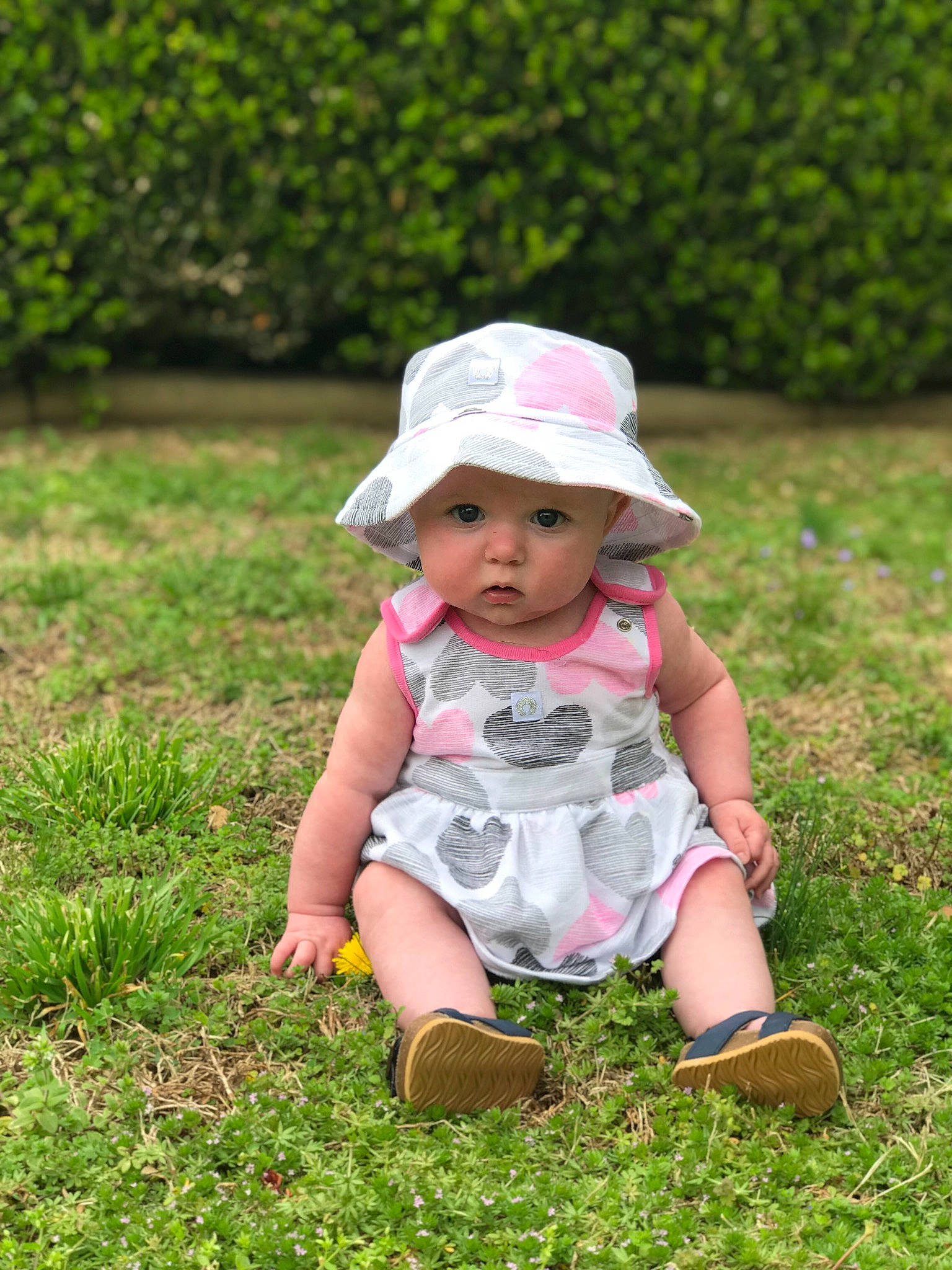 Sadie Mae  joined the competition — help win amazing prizes! baby, child, dress, fun, grass, grass_family, green, hat, headgear, headwear, lawn, meadow, person, pink, plant, play, sitting, skin, smile, summer