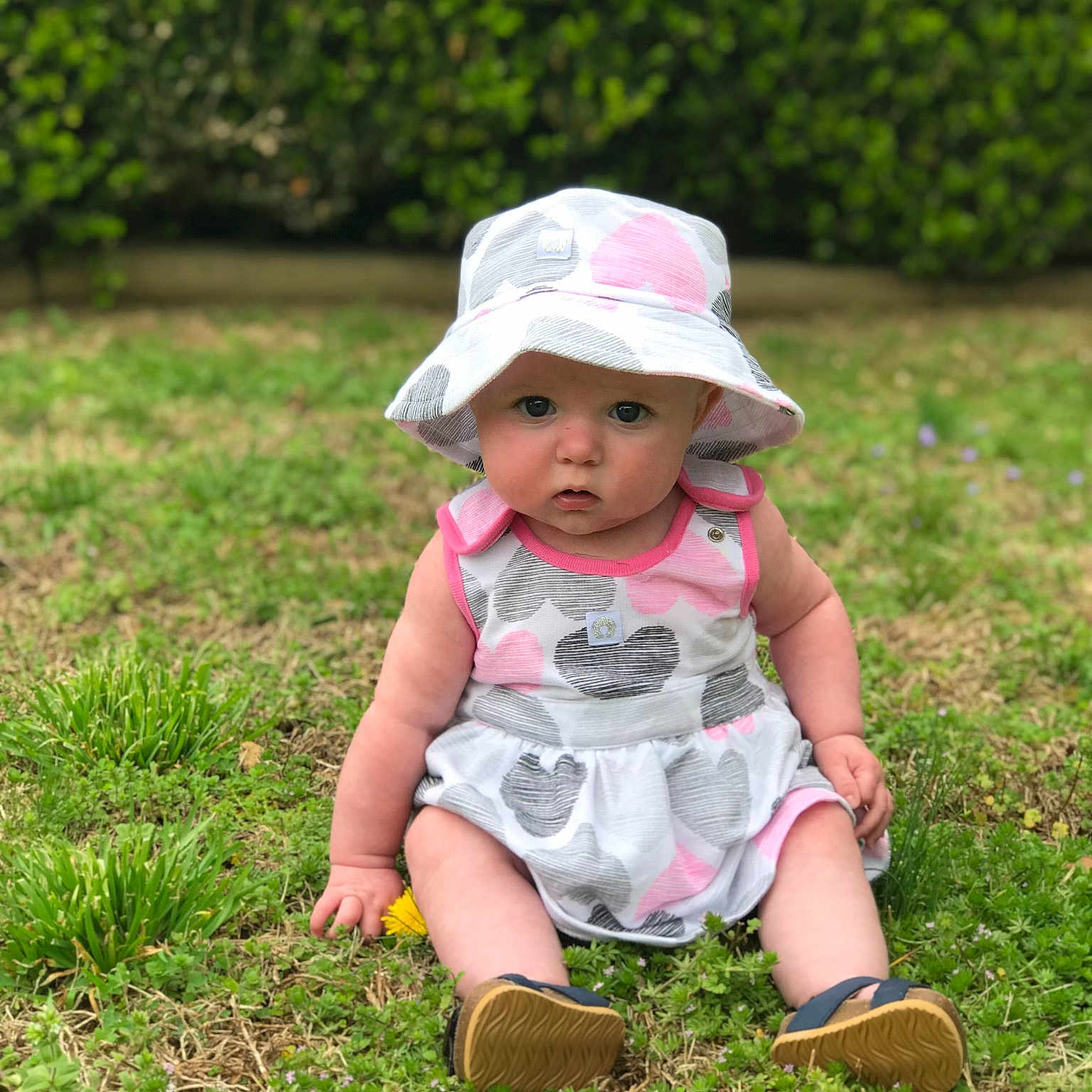 Sadie Mae  joined the competition — help win amazing prizes! baby, child, dress, fun, grass, grass_family, green, hat, headgear, headwear, lawn, meadow, person, pink, plant, play, sitting, skin, smile, summer
