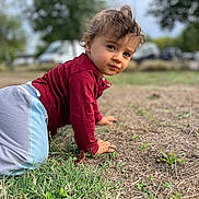 Tylio participe au concours pour gagner de l'argent avec cette photo : toddler, child, outdoor, grass, crawling, maroon_shirt, light_pants, curly_hair, face, expression, nature, trees, parked_cars, blurred_background, young_child, playful, daylight, person, casual_clothing, ground