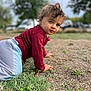 toddler, child, outdoor, grass, crawling, maroon_shirt, light_pants, curly_hair, face, expression, nature, trees, parked_cars, blurred_background, young_child, playful, daylight, person, casual_clothing, ground