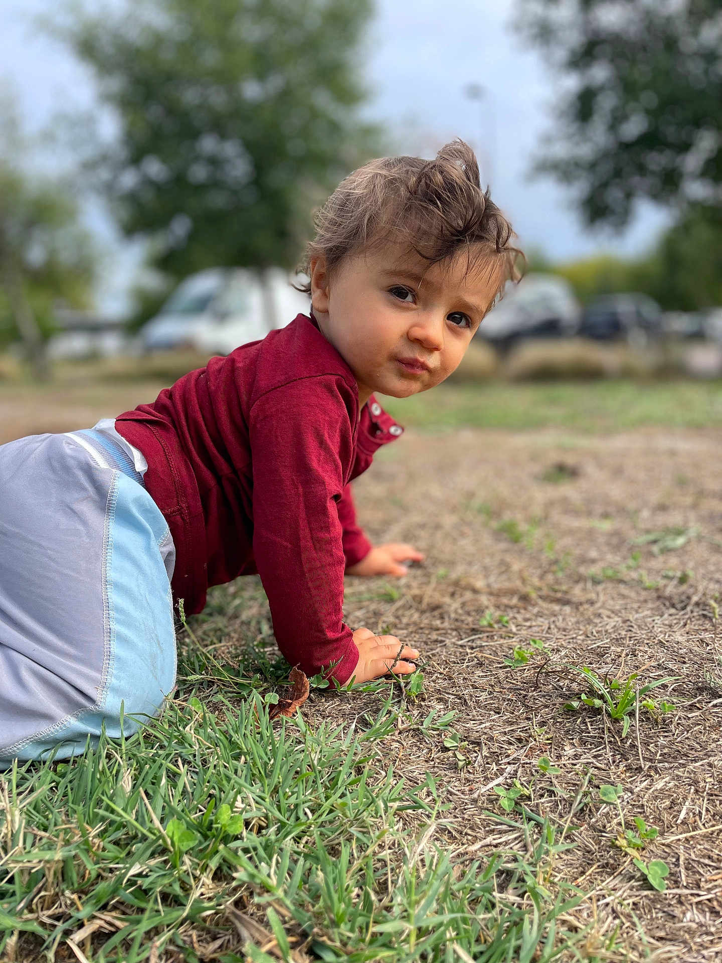 Tylio participe au concours pour gagner de l'argent avec cette photo : toddler, child, outdoor, grass, crawling, maroon_shirt, light_pants, curly_hair, face, expression, nature, trees, parked_cars, blurred_background, young_child, playful, daylight, person, casual_clothing, ground