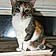 Ms.kitty