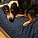Ottis