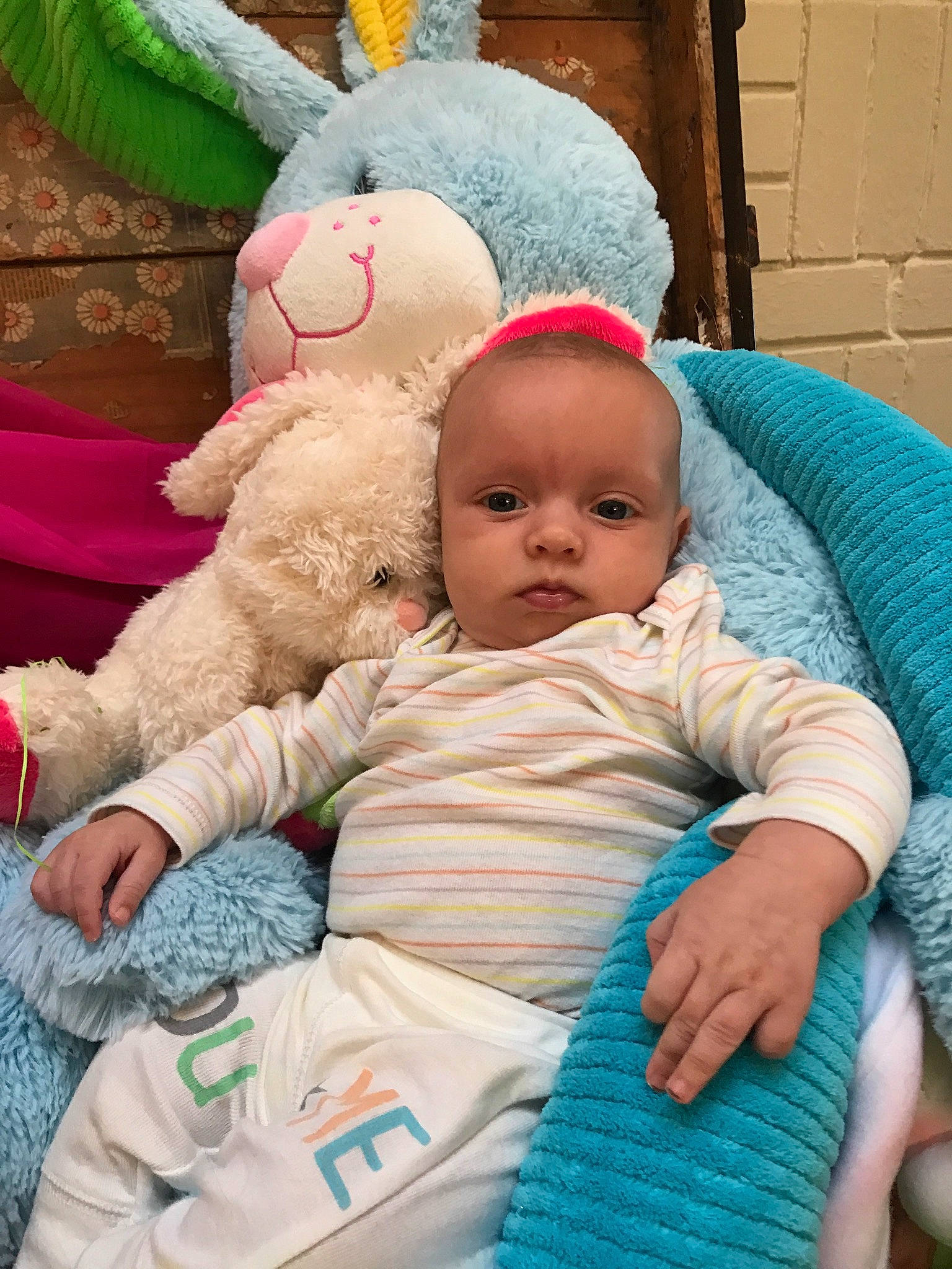 Chance is registered to the contest to win money with this photo: baby, baby_products, child, ear, easter_bunny, person, stuffed_toy, toddler, wool