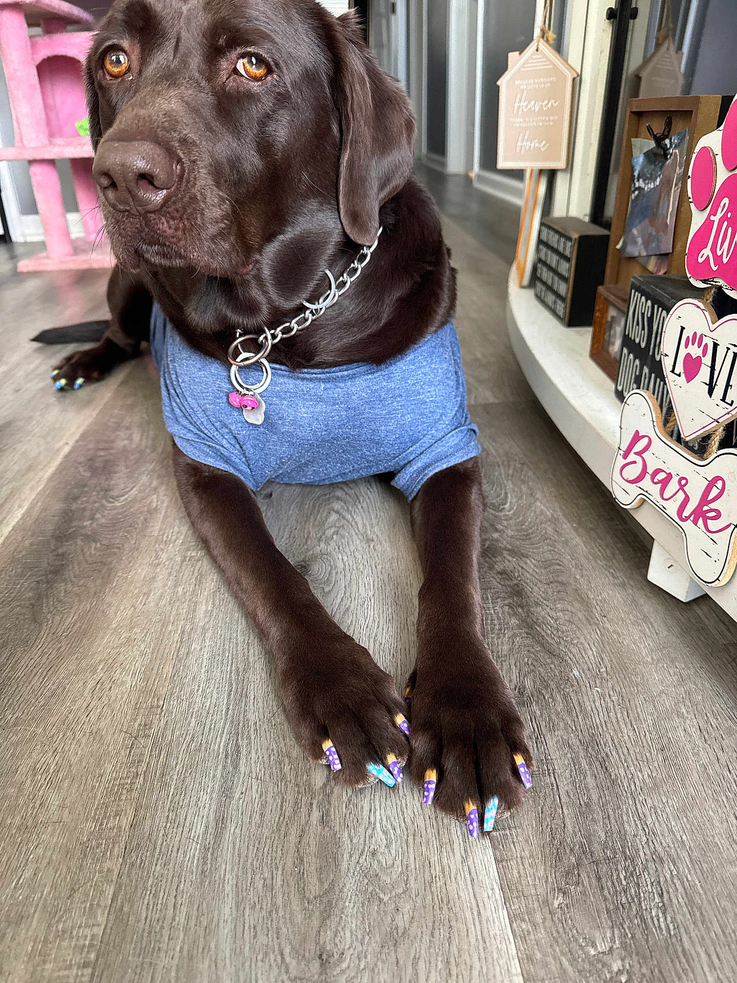 Roxi