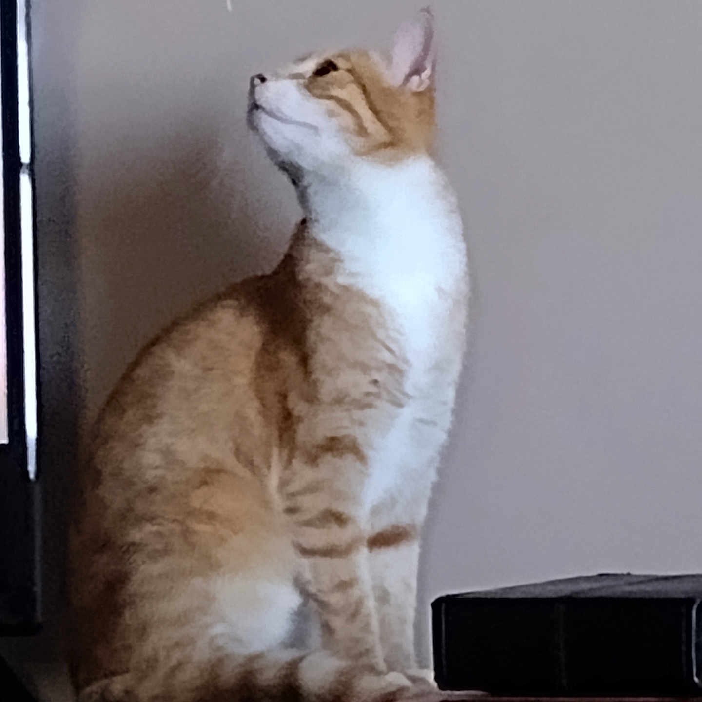 Hamlet