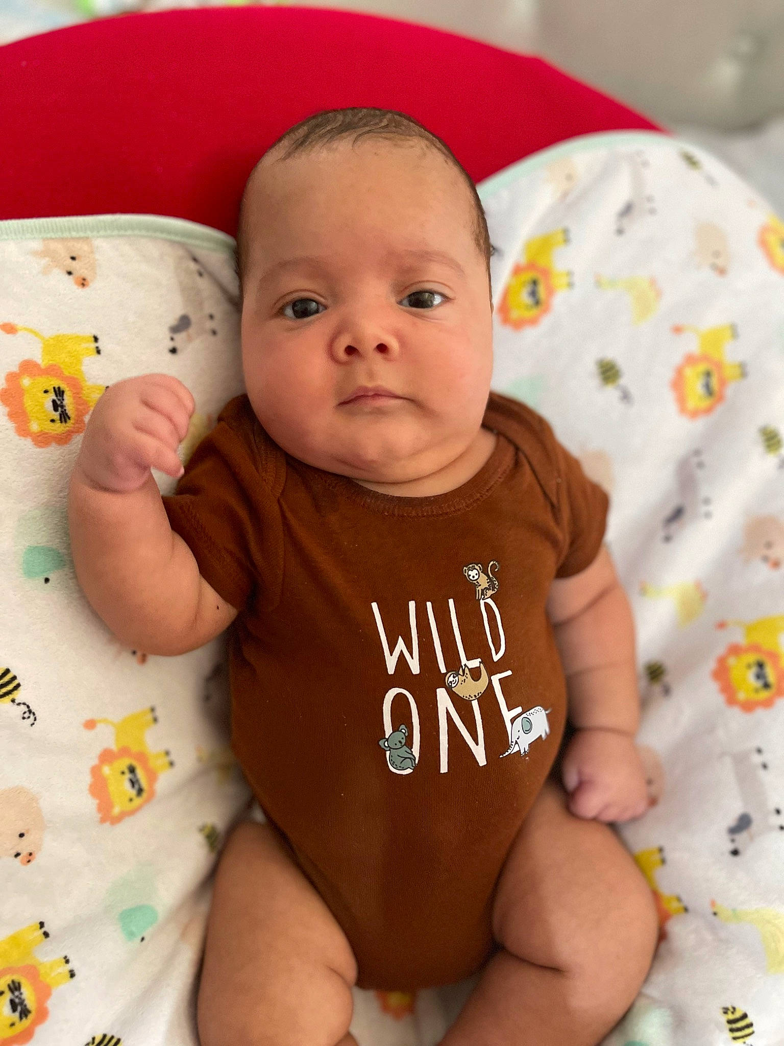 Dominik is registered to the contest to win money with this photo: arm, baby, baby_toddler_clothing, cheek, chin, eye, face, facial_expression, hand, head, human_body, lip, mouth, neck, nose, person, product, skin, stomach, textile