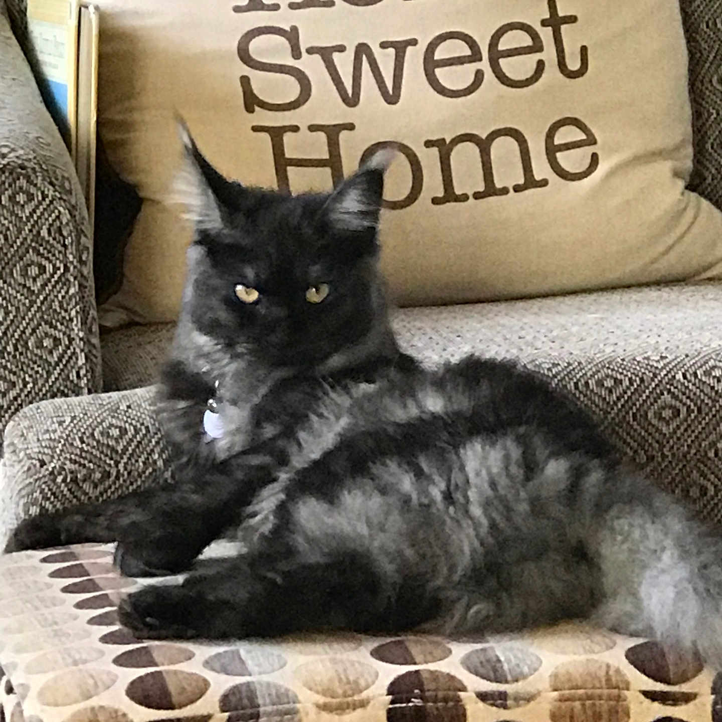 Misha