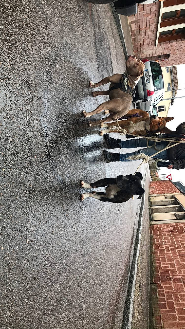 Noxe participe au concours pour gagner de l'argent avec cette photo : asphalt, concrete, street, wall