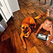 Aydin is registered to the contest to win money with this photo: toddler, child, dog, wooden_floor, tablet, kitchen, brown_dog, curly_hair, indoor, floor, furniture, cabinet, chair, pet, curious, relaxed, playing, technology, home, person