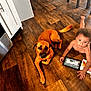 toddler, child, dog, wooden_floor, tablet, kitchen, brown_dog, curly_hair, indoor, floor, furniture, cabinet, chair, pet, curious, relaxed, playing, technology, home, person