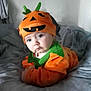 baby, bed, blanket, child, clothing, costume, curious, cute, expression, face, green_collar, halloween, holiday, indoor, laying, orange_hat, portrait, pumpkin_costume, soft, toddler