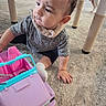 baby, child, toy_car, carpet, indoor, dinosaur_pattern, bib, sitting, curious, dog, pet, table_leg, floor, casual_clothing, playtime, cute, person, young_child, home, car