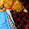 Simba joined the competition — help win amazing prizes! dog, sleeping, red_harness, blanket, bed, cozy, indoors, resting, fur, canine, plaid, comfort, nap, warm, domestic_animal, animal, closeup, brown_dog, textile, soft