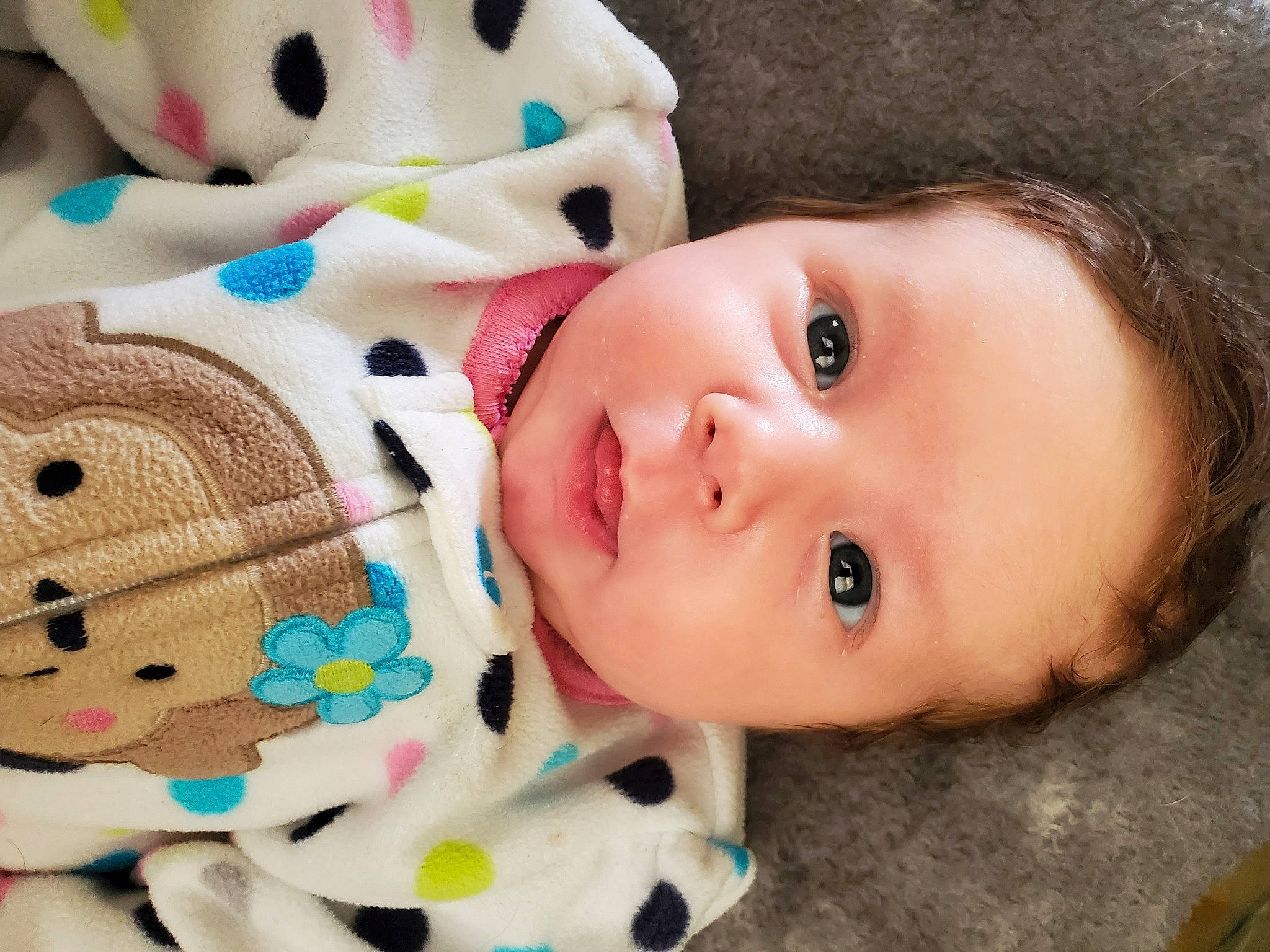 Harleigh joined the competition — help win amazing prizes! baby, cheek, child, ear, eye, face, head, lip, mouth, neck, nose, person, pink, plush, skin, stuffed_toy, toddler, toy