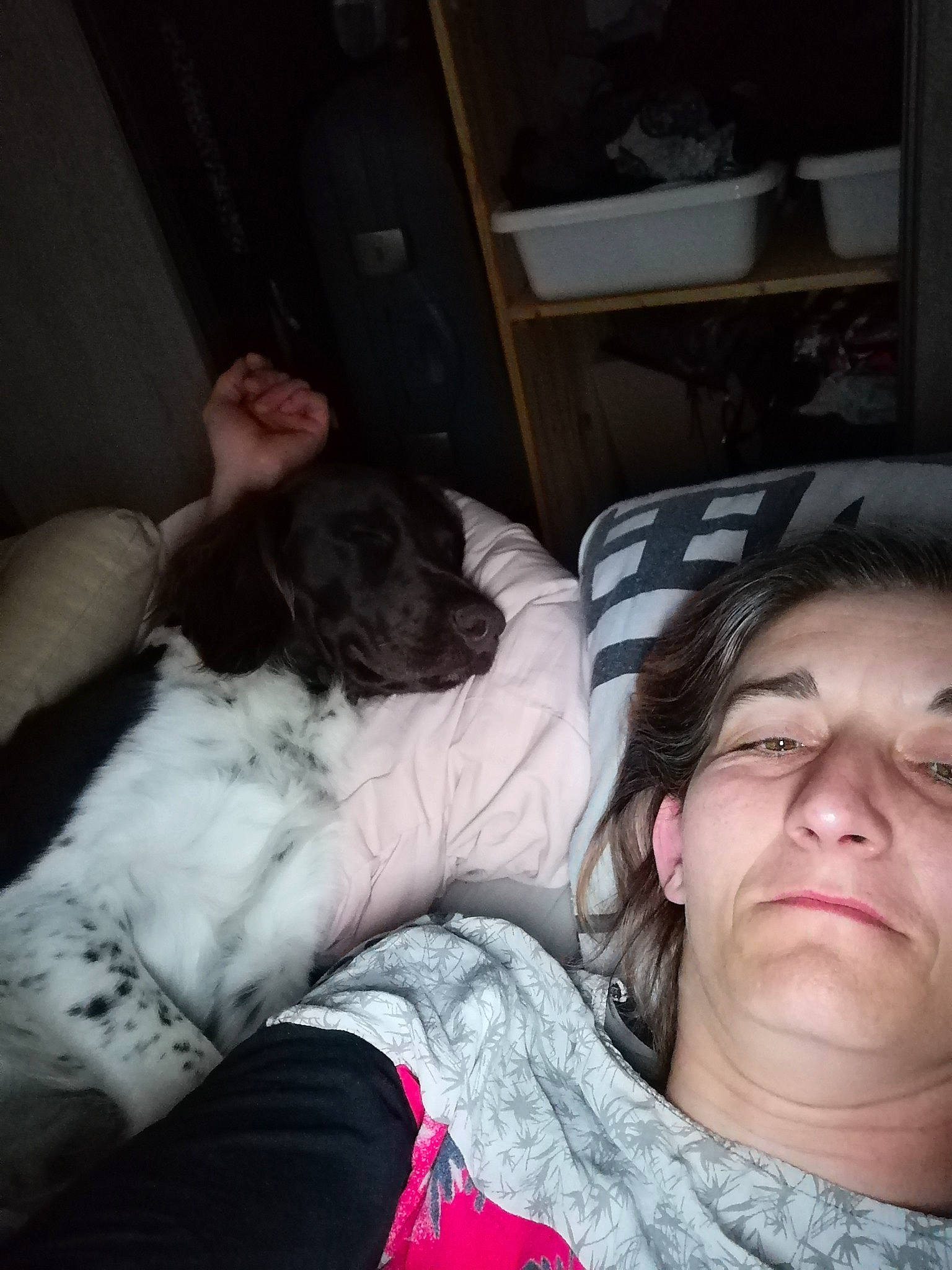 Ruby participe au concours pour gagner de l'argent avec cette photo : bedding, carnivore, cloud, comfort, companion_dog, couch, dog, dog_breed, fawn, felidae, happy, human_leg, lap, linens, selfie, sitting, small_to_medium_sized_cats, t_shirt, thigh, whiskers