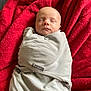 newborn, baby, swaddled, blanket, sleeping, red, plush, soft, face, infant, resting, cozy, cute, peaceful, child, wrapped, indoors, portrait, calm, serene