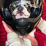 animal, black, closeup, clothing, cute, dog, expression, face, funny, hands, helmet, holding, indoor, jacket, motorcycle_helmet, person, pet, portrait, red, white