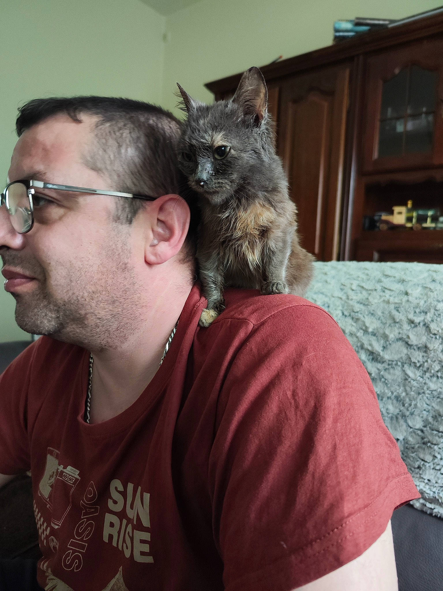 Maya participe au concours pour gagner de l'argent avec cette photo : beard, cat, domestic_short_haired_cat, ear, eyewear, fawn, felidae, fur, glasses, grey, mammal, marsupial, small_to_medium_sized_cats, snout, t_shirt, tail, vision_care, wallaby, whiskers, wildlife_biologist