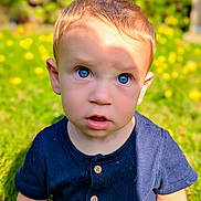 Sebastian is registered to the contest to win money with this photo: baby, blue_eyes, child, curious, cute, expression, face, flowers, garden, grass, nature, navy_shirt, outdoor, person, portrait, sitting, summer, sunlight, toddler, yellow_flowers