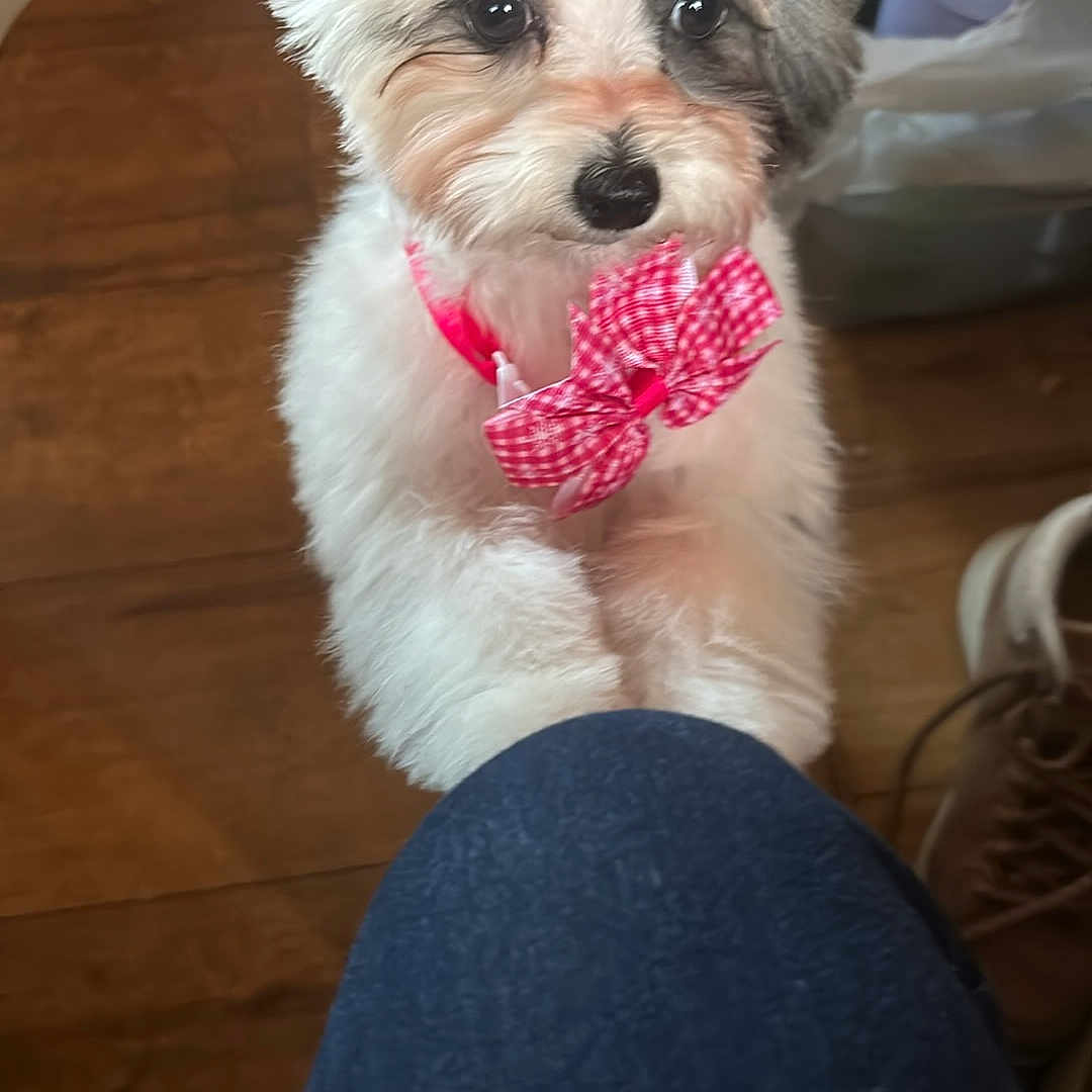 Daisy Mae