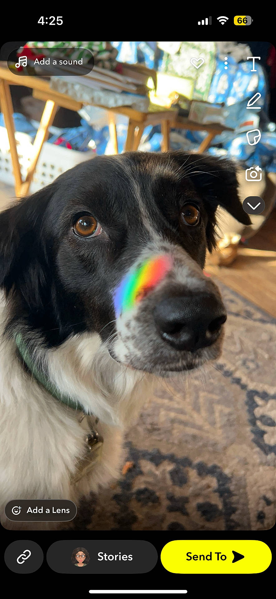 Aussie