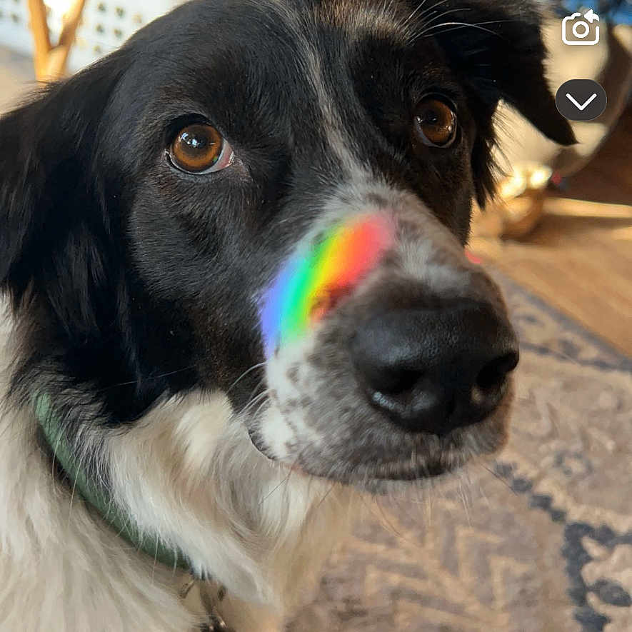Aussie