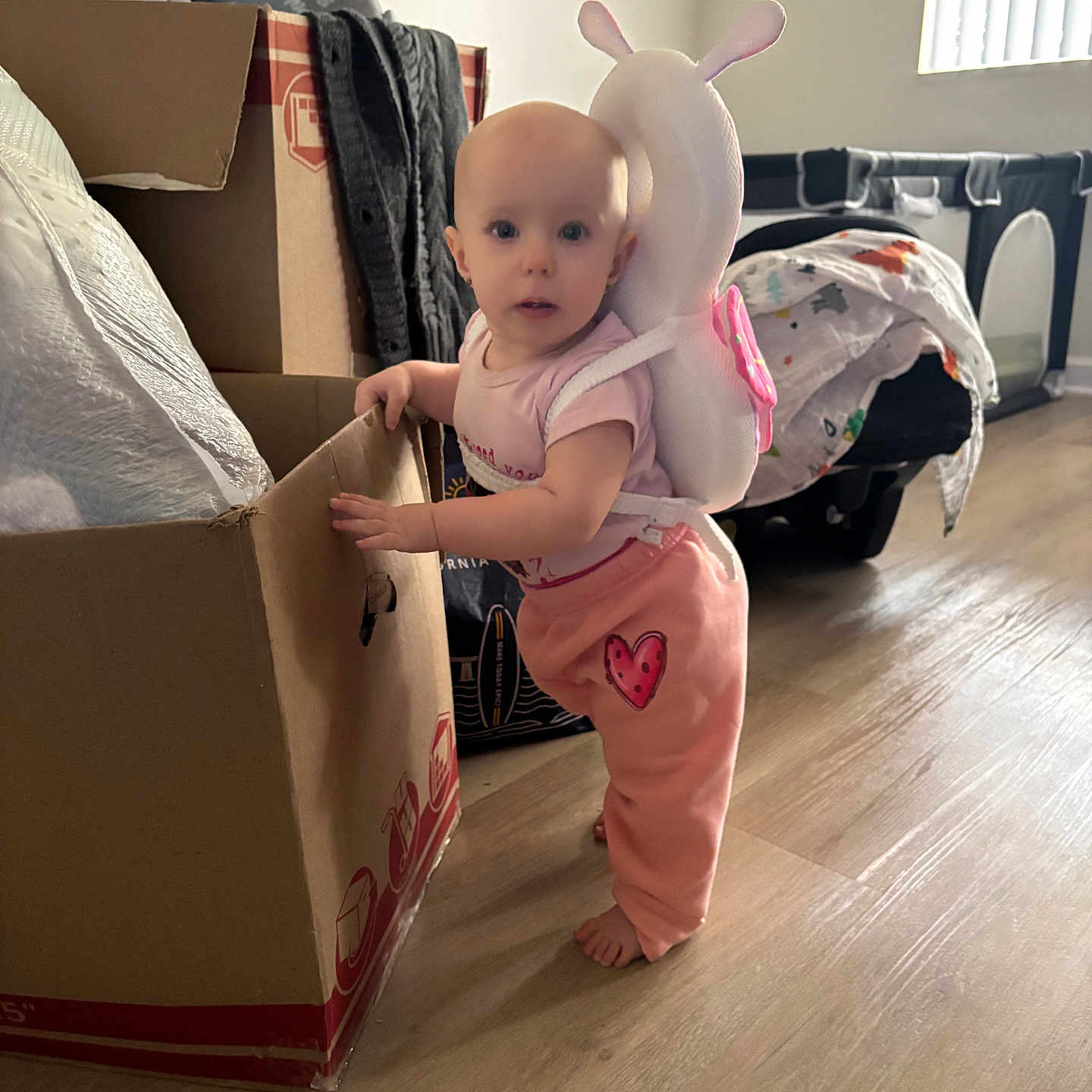 Cozette joined the competition — help win amazing prizes! baby, child, pink_clothing, snail_backpack, cardboard_box, wooden_floor, indoor, window_light, playpen, blanket, toy, barefoot, curious, standing, home, infant, cute, decor, person, young_child